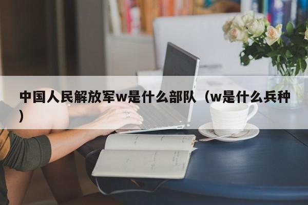 中国人民解放军w是什么部队(w是什么兵种)