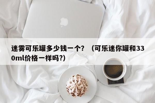 迷雾可乐罐多少钱一个?(可乐迷你罐和330ml价格一样吗?)