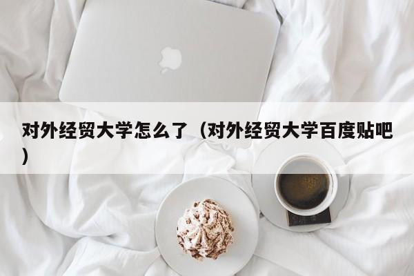 对外经贸大学怎么了(对外经贸大学百度贴吧)