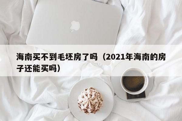 海南买不到毛坯房了吗(2021年海南的房子还能买吗)