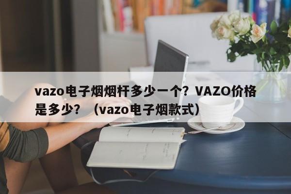 vazo电子烟烟杆多少一个?VAZO价格是多少?(vazo电子烟款式)