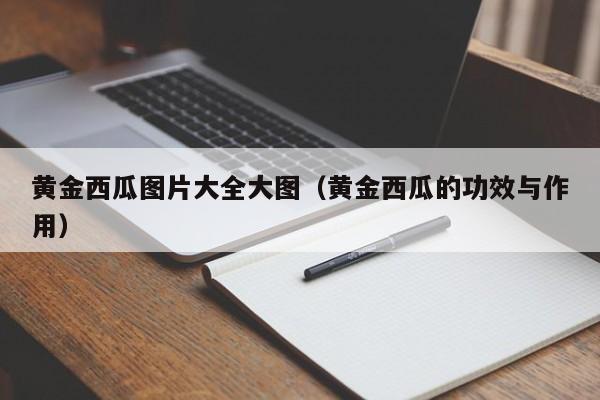 黄金西瓜图片大全大图(黄金西瓜的功效与作用)