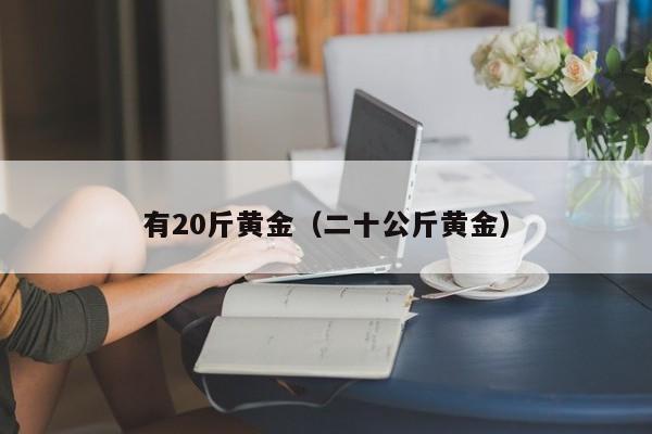 有20斤黄金(二十公斤黄金)