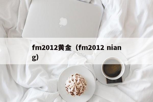 fm2012黄金(fm2012 niang)