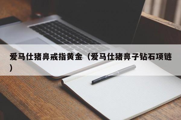 爱马仕猪鼻戒指黄金(爱马仕猪鼻子钻石项链)