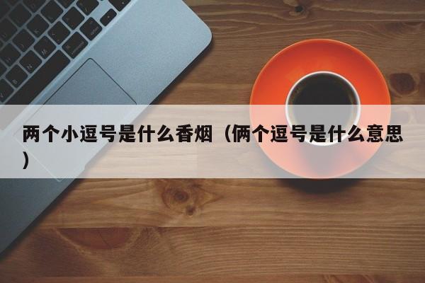 两个小逗号是什么香烟(俩个逗号是什么意思)