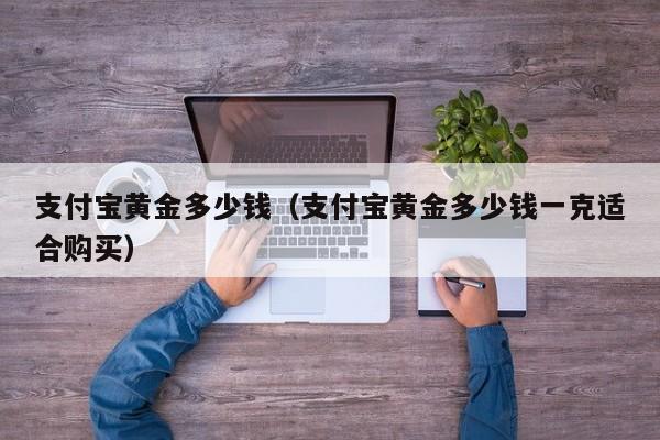 支付宝黄金多少钱(支付宝黄金多少钱一克适合购买)