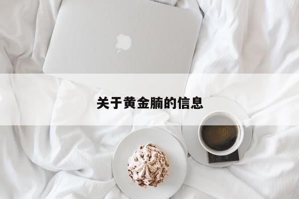 关于黄金腩的信息