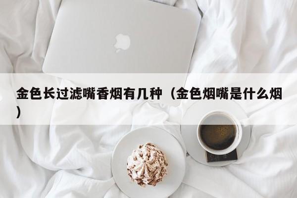 金色长过滤嘴香烟有几种(金色烟嘴是什么烟)