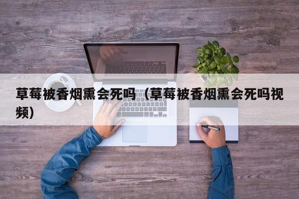 草莓被香烟熏会死吗(草莓被香烟熏会死吗视频)