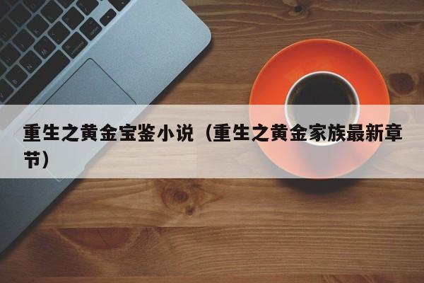 重生之黄金宝鉴小说(重生之黄金家族最新章节)