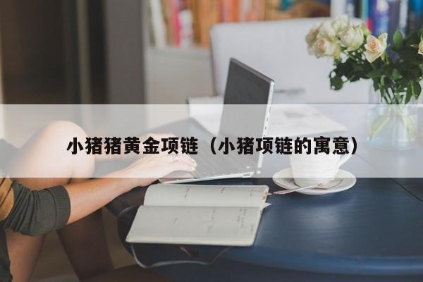 小猪猪黄金项链(小猪项链的寓意)