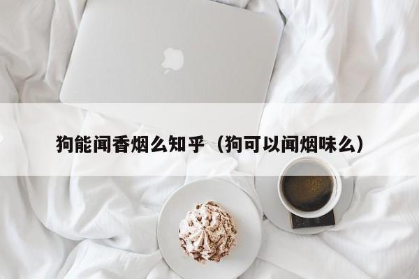 狗能闻香烟么知乎(狗可以闻烟味么)
