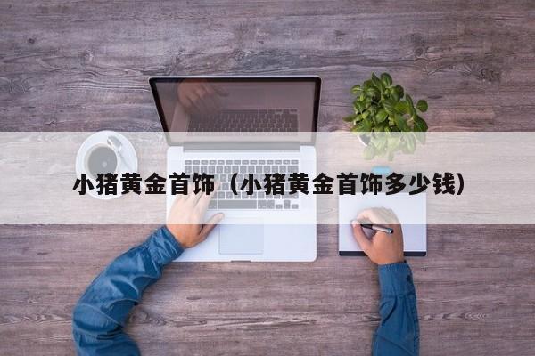 小猪黄金首饰(小猪黄金首饰多少钱)