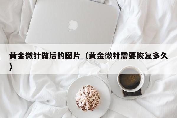 黄金微针做后的图片(黄金微针需要恢复多久)