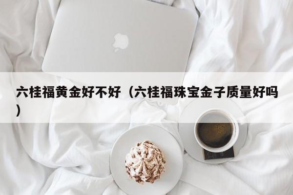 六桂福黄金好不好(六桂福珠宝金子质量好吗)