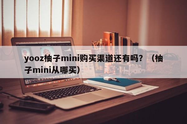 yooz柚子mini购买渠道还有吗?(柚子mini从哪买)