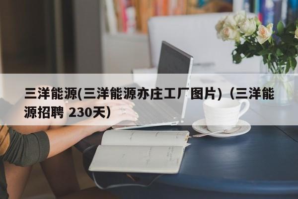 三洋能源(三洋能源亦庄工厂图片)(三洋能源招聘 230天)