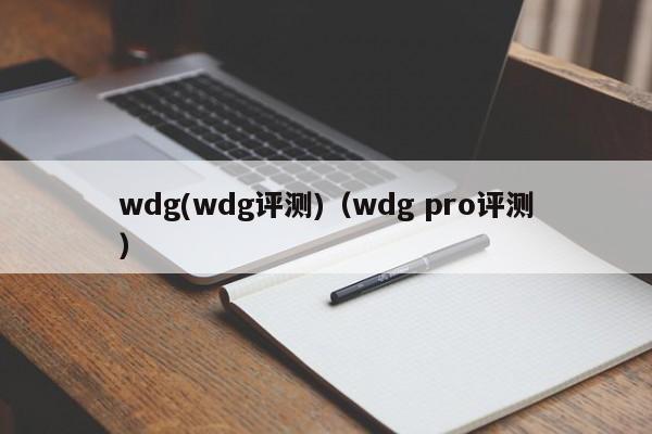 wdg(wdg评测)(wdg pro评测)