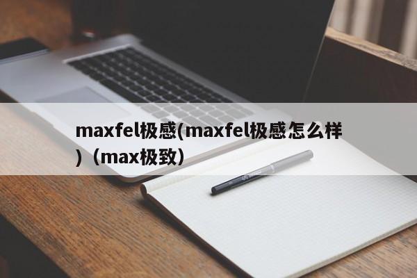maxfel极感(maxfel极感怎么样)(max极致)