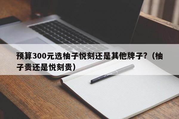 预算300元选柚子悦刻还是其他牌子?(柚子贵还是悦刻贵)
