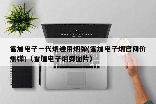 雪加电子一代烟通用烟弹(雪加电子烟官网价烟弹)(雪加电子烟弹图片)