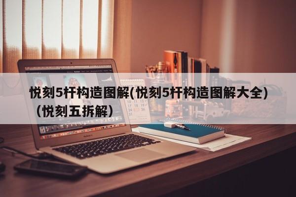 悦刻5杆构造图解(悦刻5杆构造图解大全)(悦刻五拆解)