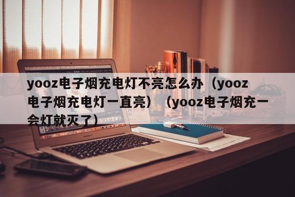 yooz电子烟充电灯不亮怎么办(yooz电子烟充电灯一直亮)(yooz电子烟充一会灯就灭了)