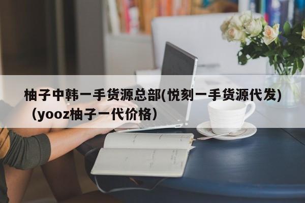 柚子中韩一手货源总部(悦刻一手货源代发)(yooz柚子一代价格)