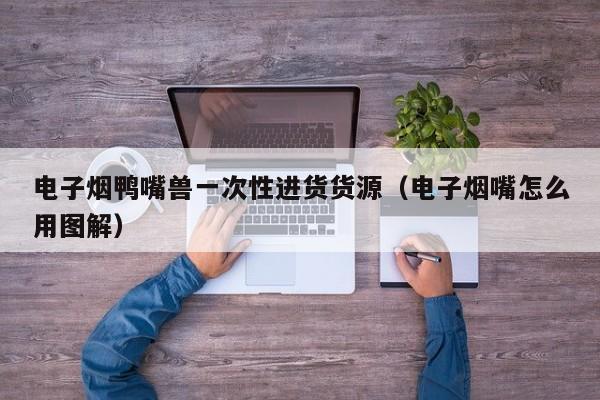 电子烟鸭嘴兽一次性进货货源(电子烟嘴怎么用图解)