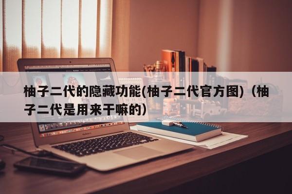 柚子二代的隐藏功能(柚子二代官方图)(柚子二代是用来干嘛的)