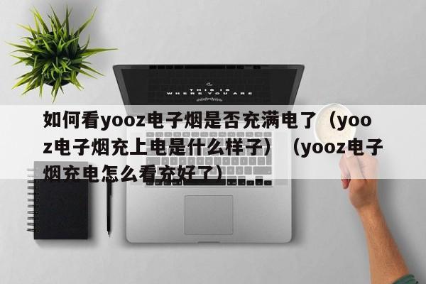 如何看yooz电子烟是否充满电了(yooz电子烟充上电是什么样子)(yooz电子烟充电怎么看充好了)