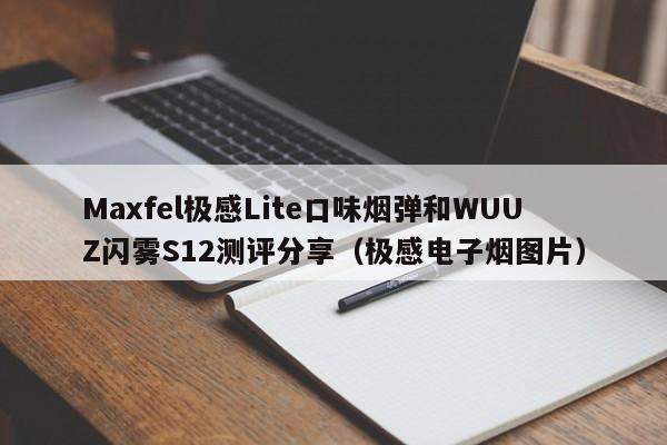 Maxfel极感Lite口味烟弹和WUUZ闪雾S12测评分享(极感电子烟图片)