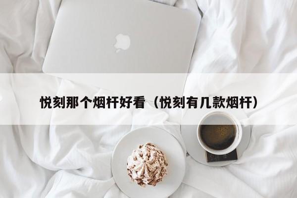 悦刻那个烟杆好看(悦刻有几款烟杆)
