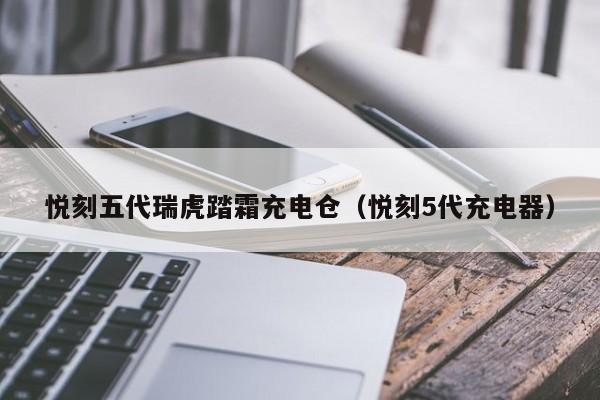 悦刻五代瑞虎踏霜充电仓(悦刻5代充电器)