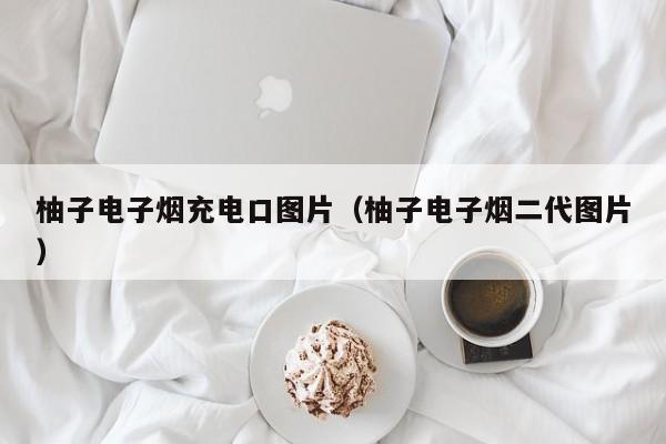 柚子电子烟充电口图片(柚子电子烟二代图片)