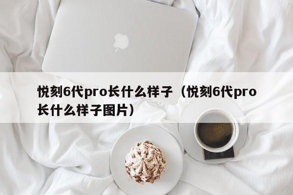 悦刻6代pro长什么样子(悦刻6代pro长什么样子图片)