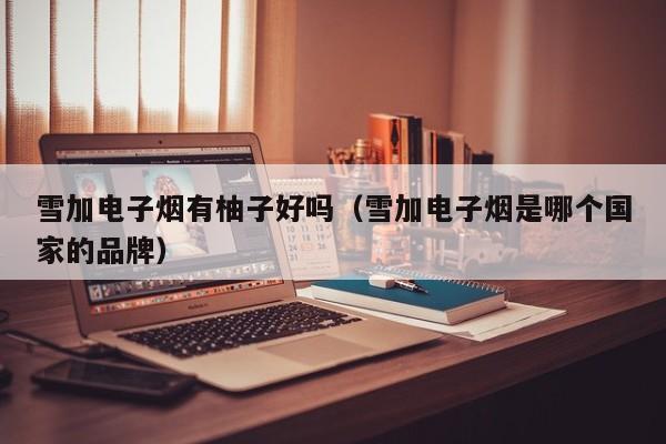 雪加电子烟有柚子好吗(雪加电子烟是哪个国家的品牌)