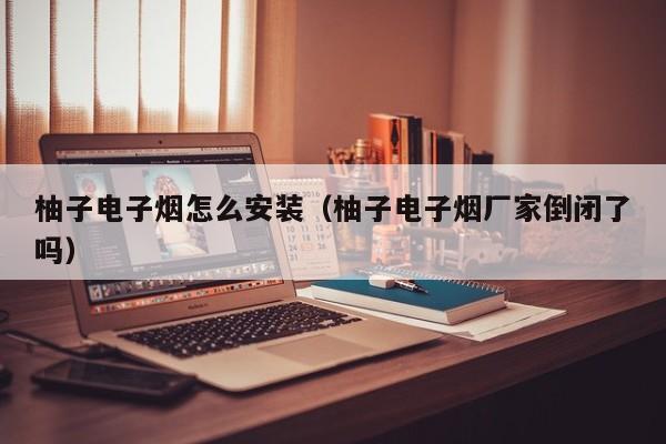 柚子电子烟怎么安装(柚子电子烟厂家倒闭了吗)